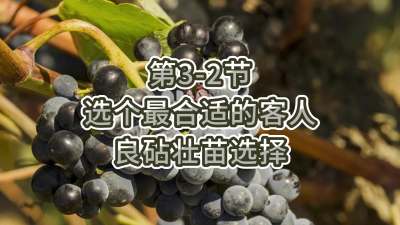 第3-2节-选个最合适的客人---良砧壮苗选择