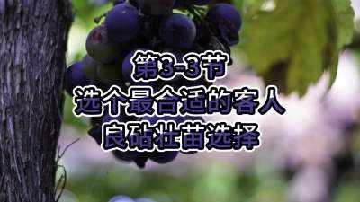 第3-3节-选个最合适的客人---良砧壮苗选择