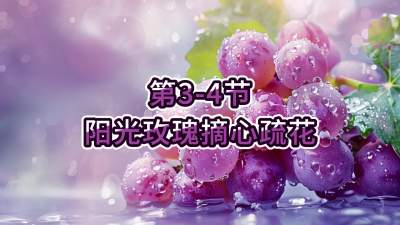 第3-4节-阳光玫瑰摘心疏花