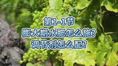 第1-1节-膨大期水肥怎么施？调节剂怎么配？