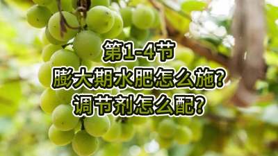 第1-4节-膨大期水肥怎么施？调节剂怎么配？