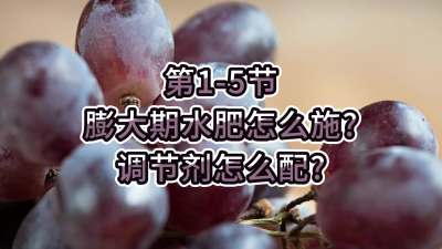 第1-5节-膨大期水肥怎么施？调节剂怎么配？