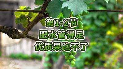 第1-2节-肥水管得足，优质果跑不了