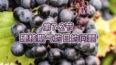 第7-2节-硬核期气灼日灼问题