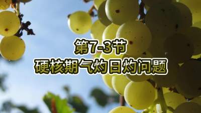 第7-3节-硬核期气灼日灼问题