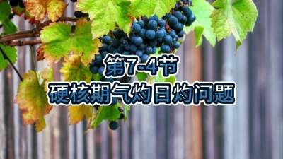 第7-4节-硬核期气灼日灼问题