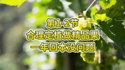 第1-2节-合理定植做精品果，一年回本没问题