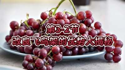 第3-2节-改良飞鸟架的优势大揭秘