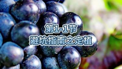 第1-1节-避坑指南之定植