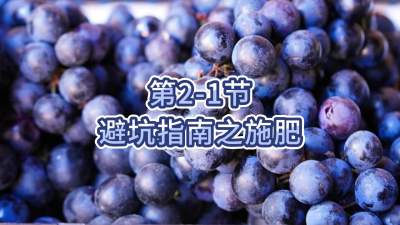 第2-1节-避坑指南之施肥