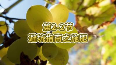 第2-2节-避坑指南之施肥