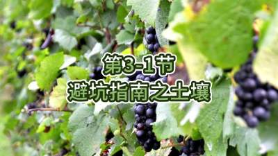 第3-1节-避坑指南之土壤