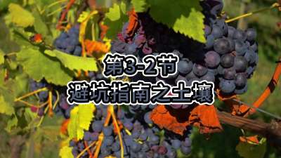 第3-2节-避坑指南之土壤