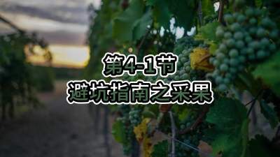 第4-1节-避坑指南之采果