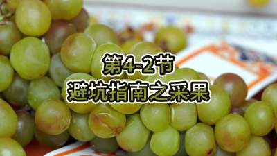 第4-2节-避坑指南之采果