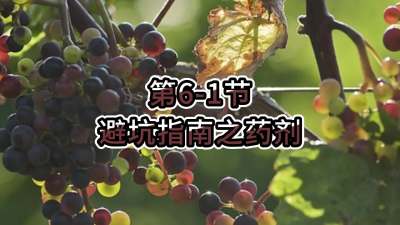 第6-1节-避坑指南之药剂
