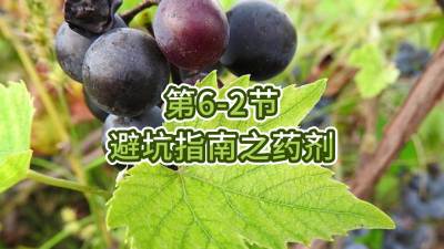 第6-2节-避坑指南之药剂
