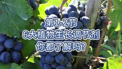 第1-2节-6大植物生长调节剂，你都了解吗？