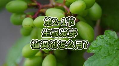 第2-1节-生根发芽，植调剂怎么用？