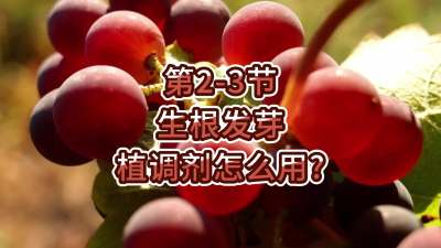 第2-3节-生根发芽，植调剂怎么用？