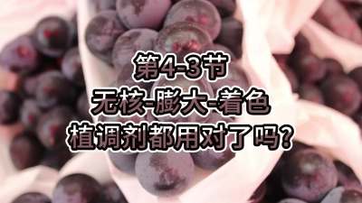 第4-3节-无核-膨大-着色，植调剂都用对了吗？