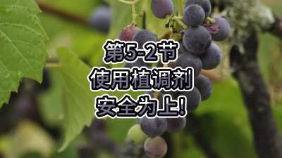 第5-2节-使用植调剂，安全为上！