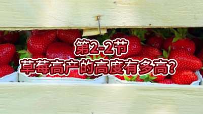 第2-2节-草莓高产的高度有多高？