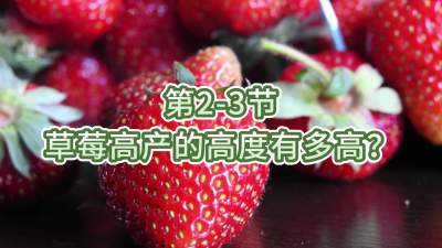第2-3节-草莓高产的高度有多高？