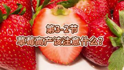 第3-2节-草莓高产该注意什么？