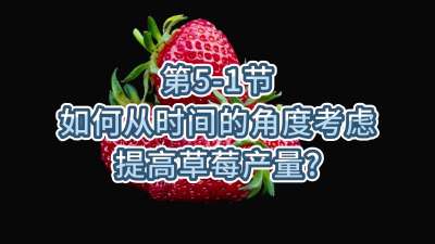 第5-1节-如何从时间的角度考虑提高草莓产量？