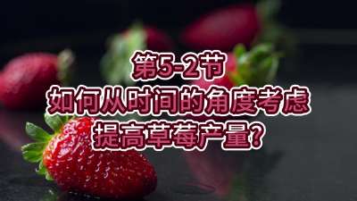 第5-2节-如何从时间的角度考虑提高草莓产量？
