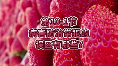 第10-1节-病害防治常犯的误区有哪些？
