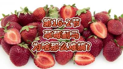 第16-2节-草莓蓟马为啥那么难搞？
