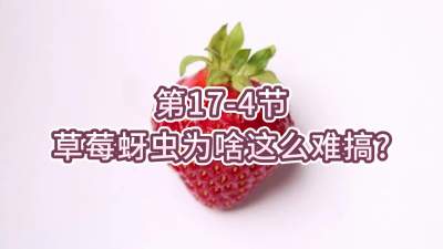 第17-4节-草莓蚜虫为啥这么难搞？