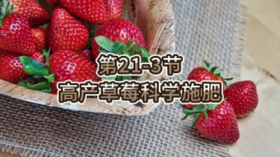 第21-3节-高产草莓科学施肥