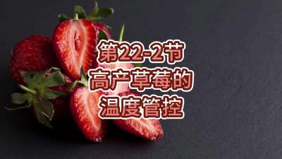 第22-2节-高产草莓的温度管控