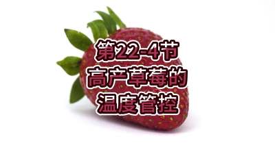 第22-4节-高产草莓的温度管控