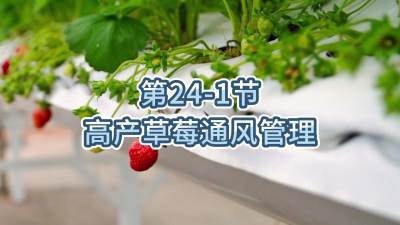 第24-1节-高产草莓通风管理