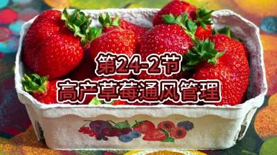 第24-2节-高产草莓通风管理