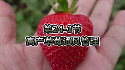 第24-3节-高产草莓通风管理