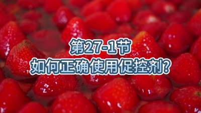 第27-1节-如何正确使用促控剂？