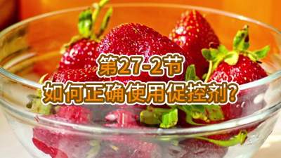 第27-2节-如何正确使用促控剂？