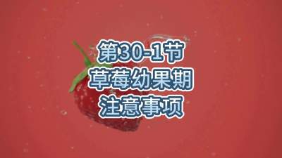 第30-1节-草莓幼果期注意事项