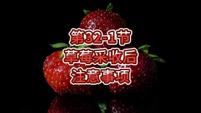 第32-1节-草莓采收后注意事项