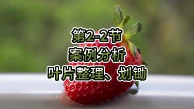 第2-2节-案例分析-叶片整理、划锄