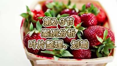 第2-3节-案例分析-叶片整理、划锄