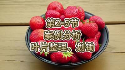 第2-5节-案例分析-叶片整理、划锄