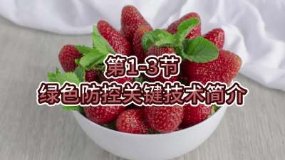 第1-3节-绿色防控关键技术简介