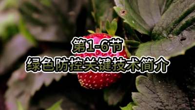 第1-6节-绿色防控关键技术简介