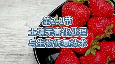 第2-1节-土壤无害化处理与生物修复技术